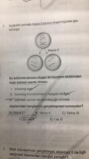 5. Aşağıdaki şemada mayoz II sonucu oluşan hücreler gös-
terilmiştir.
XX
Mayoz II
Bu bölünme sonucu oluşan iki hücrenin birbirinden
farklı kalıtsal yapıda olması;
1. krossing over
II. homolog kromozomların rastgele dizilimi,
1. çekirdek zarının ve çekirdek