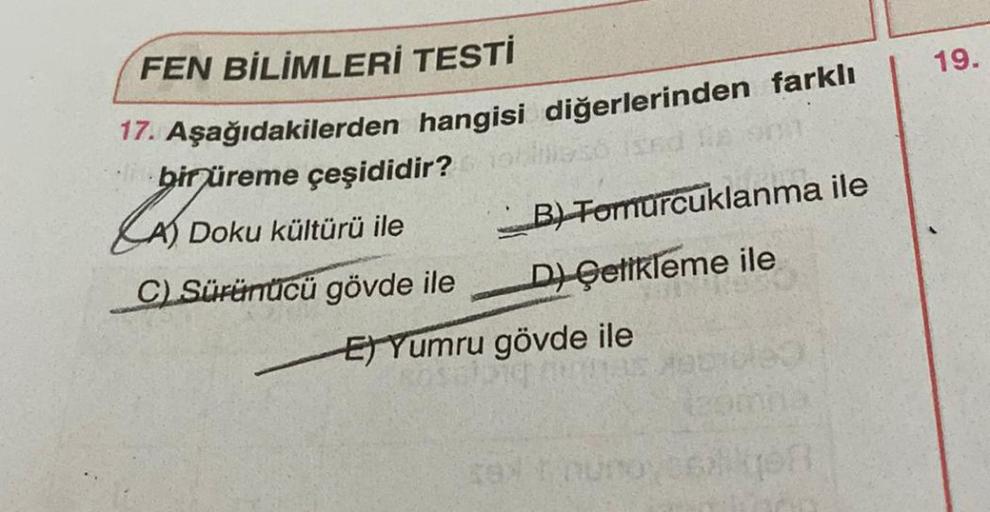 FEN BİLİMLERİ TESTİ
17. Aşağıdakilerden hangisi diğerlerinden farklı
bir üreme çeşididir?
Doku kültürü ile
C) Sürünücü gövde ile
B) Tomurcuklanma ile
D) Gettkleme ile
ACADA
ETYumru gövde ile
tzomna
relt nunovesikon
19.