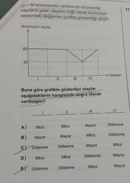 20
= 60 kromozomlu canlının bir hücresinde
meydana gelen olaylara bağlı olarak kromozom
sayısındaki değişimler grafikte gösterildiği gibidir.
Kromozom sayısı
60
30
A)
B) Mayoz
C) Döllenme
D)
E) Döllenme
Mitoz
||
Buna göre grafikte gösterilen olaylar
aşağıdakilerin hangisinde doğru olarak
verilmiştir?
Mitoz
Mitoz
Mayoz
Döllenme
|||
Mitoz
IV
Döllenme
Mayoz
Mitoz
Mayoz
Döllenme
Mitoz
→ Olaylar
IV
Döllenme
Döllenme
Mitoz
Mayoz
Mayoz
11.