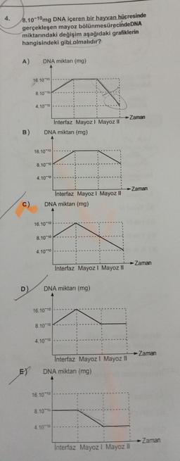 4.
8.10-10mg DNA içeren bir hayvan hücresinde
gerçekleşen mayoz bölünmesürecinde DNA
miktarındaki değişim aşağıdaki grafiklerin
hangisindeki gibi olmalıdır?
A) DNA miktarı (mg)
B)
C)
D)
EY
16.10 10
8.10 10
4.10 10
DNA miktarı (mg)
16.10 10
8.10 10
4.10 10
16.10 10
DNA miktarı (mg)
8.10 10
4.10 10
16.10 10
8.10 10
DNA miktarı (mg)
4.10 10
İnterfaz Mayoz I Mayoz II
16.10 10
İnterfaz Mayoz I Mayoz II
8.10 10
4.10 10
Interfaz Mayoz I Mayoz II
DNA miktarı (mg)
Interfaz Mayoz I Mayoz II
Zaman
→ Zaman
Interfaz Mayoz I Mayoz II
Zaman
→ Zaman
Zaman