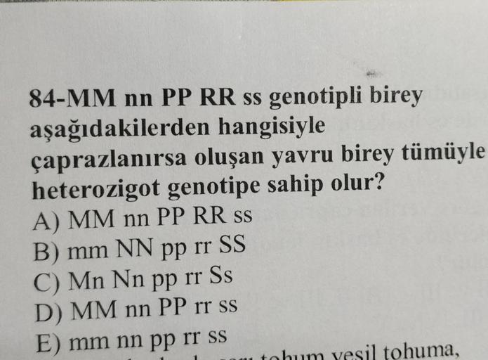 84-MM nn PP RR ss genotipli birey bu
aşağıdakilerden hangisiyle
çaprazlanırsa oluşan yavru birey tümüyle
heterozigot genotipe sahip olur?
A) MM nn PP RR ss
B) mm NN pp rr SS
C) Mn Nn pp rr Ss
D) MM nn PP rr ss
E) mm nn pp rr ss
tohum yesil tohuma,