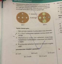 Canlı Alemleri ve Özellikleri
Staphylococcus aureus türü bakterilerin bulunduğu bir besi
ortamina K, L, M, N ve P antibiyotikleri emdirilmiş diskler şe
kil 1' deki gibi yerleştirilmiştir. Antibiyotik diskler yerleştirildik-
ten 24 saat sonra şekil 2' deki durum gözlenmiştir.
1.
Şekil 1
Bakteriler-
A) I ve II
24 saat sonra
K
Yapılan deneye göre,
1. Besi yerindeki bakteriler N antibiyotiğine karşı dirençlidir.
Al. K, L, M ve P antibiyotikleri bakterileri olumsuz olarak etki-
.
lemiştir.
D) I, II ve III
M
III. Staphylococcus aureus türü bakterilerin oluşturduğu
hastalıklarda N antibiyotiğinin kullanılması hızlı iyileşme-
yi sağlar.
IV. M antibiyotiği bakterilerin mitokondri faaliyetini engelle-
miştir.
yorumlarından hangileri yapılabilir?
B) II ve III
Şekil 2
E) I, II ve IV
4.
C) III ve IV
Bazı hay
1. Hem
II. Sad
hip
.
III. Ha
de
Buna
deki
5.
E)