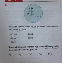 5.
- KLMN
- klmn
- Klmn
KLM
Yukarıda verilen hücreden oluşabilecek gametlerden
beş tanesi şunlardır:
A) 1
L÷ +1
B) 2
m
Nttn
- KIMN
- klmN
Buna göre bu gametlerden kaç tanesi krossing-over
gerçekleşmese de oluşabilir?
C) 3
D) 4 E) 5