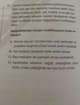 17. Canlının kalıtsal yapısını meydana getiren kromozom,
DNA veya gen gibi yapılarda meydana gelen bozul-
malara mutasyon; besin, ışık, sıcaklık ve su gibi çev-
resel faktörlerin etkisiyle canlının fenotipinde ortaya
çıkan ve kalıtsal olmayan değişikliklere modifikasyon
denir.
Aşağıdakilerden hangisi modifikasyona örnek ve-
rilebilir?
A) Normal alyuvar hücrelerinden orak şeklindeki al-
yuvarların oluşması (Orak hücreli anemi hastalığı)
B) Van kedisinin gözlerinin farklı renkte olması
C) Bazı insanların altı parmaklı olması (polidaktili)
D) Karahindiba bitkisinin dağda yetiştiğinde uzun
boylu, ovada yetiştiğinde ise kısa boylu olması