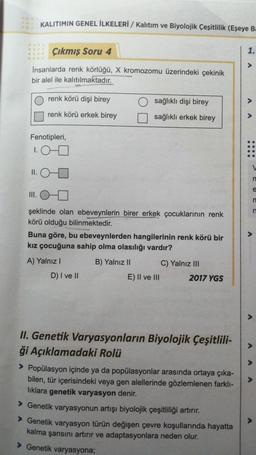 Çıkmış Soru 4
İnsanlarda renk körlüğü, X kromozomu üzerindeki çekinik
bir alel ile kalıtılmaktadır.
KALITIMIN GENEL İLKELERİ / Kalıtım ve Biyolojik Çeşitlilik (Eşeye Ba
II.
Fenotipleri,
1.00
renk körü dişi birey
renk körü erkek birey
III.
0
şeklinde olan ebeveynlerin birer erkek çocuklarının renk
körü olduğu bilinmektedir.
sağlıklı dişi birey
sağlıklı erkek birey
Buna göre, bu ebeveynlerden hangilerinin renk körü bir
kız çocuğuna sahip olma olasılığı vardır?
A) Yalnız I
B) Yalnız II
D) I ve II
E) II ve III
C) Yalnız III
2017 YGS
II. Genetik Varyasyonların Biyolojik çeşitlili-
ği Açıklamadaki Rolü
> Popülasyon içinde ya da popülasyonlar arasında ortaya çıka-
bilen, tür içerisindeki veya gen alellerinde gözlemlenen farklı-
lıklara genetik varyasyon denir.
> Genetik varyasyonun artışı biyolojik çeşitliliği artırır.
> Genetik varyasyon türün değişen çevre koşullarında hayatta
kalma şansını artırır ve adaptasyonlara neden olur.
> Genetik varyasyona;
1.
V
e
n
n