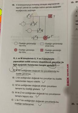 18. X kromozomunun homolog olmayan segmentinde
taşınan çekinik bir özelliğin kalıtım şeması aşağıdaki
soyağacında verilmiştir.
X
O
: Özelliğin görülmediği
dişi birey
: Özelliğin görüldüğü
dişi birey
4!
XY
XMX
hend
r
: Özelliğin görülmediği
erkek birey
: Özelliğin görüldüğü
erkek birey
K, L ve M bireylerinin X, Y ve Z bireyleriyle
yapacakları evlilik sonucu oluşabilecek çocuklar ile
ilgili aşağıdaki ifadelerden hangisi yanlıştır?
Dani
knin ev
AK'nin evliliğinden doğacak kız çocuklarında bu
özellik görülmez.
B) L'nin evliliğinden doğacak kız çocukları bu özellik
bakımından taşıyıcı olabilir. U
C) M'nin evliliğinden doğacak erkek çocukların
tamamı bu özelliği gösterir. V
D) M ile Z'nin evliliğinden doğacak kız çocuklarının
tamamı taşıyıcı olur.
i
E) L ile Y'nin evliliğinden doğacak çocuklarda bu
özelliğe rastlanamaz.
ESEN YAYINLARI -
19. Bit
1.
II.
III.
ola
ka
A)
20. 9.