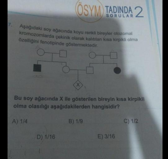 ÖSYM TADINDA 2
Aşağıdaki soy ağacında koyu renkli bireyler otozomal
kromozomlarda çekinik olarak kalıtılan kısa kirpikli olma
özelliğini fenotipinde göstermektedir.
PO
Bu soy ağacında X ile gösterilen bireyin kısa kirpikli
olma olasılığı aşağıdakilerden ha