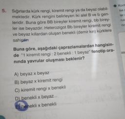 5. Sığırlarda kürk rengi, kiremit rengi ya da beyaz olabil-
mektedir. Kürk rengini belirleyen iki alel B ve b gen-
leridir. Buna göre BB bireyler kiremit rengi, bb birey-
ler ise beyazdır. Heterozigot Bb bireyler kiremit rengi
ve beyaz kıllardan oluşan benekli (demir kırı) kürklere
sahiptir.
Buna göre, aşağıdaki çaprazlamalardan hangisin-
de "1 kiremit rengi : 2 benekli : 1 beyaz" fenotip ora-
nında yavrular oluşması beklenir?
A) beyaz x beyaz
B) beyaz x kiremit rengi
C) kiremit rengi x benekli
D) benekli x beyaz
Ebenekli x benekli
Kont
ise s
ler c
rula
no
aa