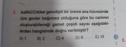 3. AaBbCCddee genotipli bir üreme ana hücresinde
tüm genler bağımsız olduğuna göre bu canlının
oluşturabileceği gamet çeşidi sayısı aşağıdaki-
lerden hangisinde doğru verilmiştir?
A) 1
B) 2 C) 4
D) 8
E) 16
G
S
8.