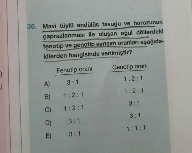 36. Mavi tüylü endülüs tavuğu ve horozunun
çaprazlanması ile oluşan oğul döllerdeki
fenotip ve genotip ayrışım oranları aşağıda-
kilerden hangisinde verilmiştir?
Genotip oranı
A)
B)
C)
D)
E)
Fenotip oranı
3:1
1:2:1
1:2:1
3:1
3:1
1:2:1
1:2:1
3:1
3:1
1:1:1