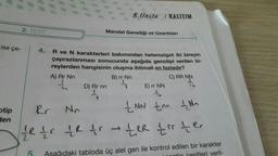 ise çe-
otip
den
2. TEST
4.
5.
8.Ünite / KALITIM
Mendel Genetiği ve Uzantıları
R ve N karakterleri bakımından heterozigot iki bireyin
çaprazlanması sonucunda aşağıda genotipi verilen bi-
reylerden hangisinin oluşma ihtimali en fazladır?
A) Rr Nn
B) rr Nn
C) RR NN
S
D) Rr nn
l
Y
E) rr NN
16
NN ton +₁
№n
Rr
N₁
te tr fR fr → ter
ter torter
Aşağıdaki tabloda üç alel gen ile kontrol edilen bir karakter
notin cesitleri veril-