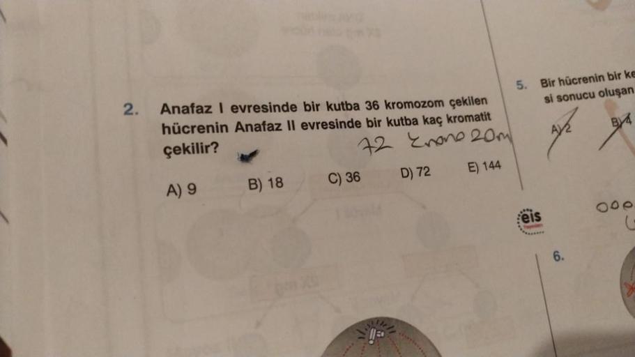 2.
Anafaz I evresinde bir kutba 36 kromozom çekilen
hücrenin Anafaz II evresinde bir kutba kaç kromatit
çekilir?
72 Enone 20m
A) 9
D) 72
E) 144
B) 18
pm XC
C) 36
5. Bir hücrenin bir ke
si sonucu oluşan
B4
eis
P
6.