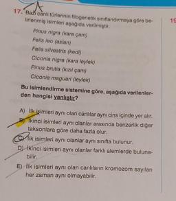 A
17. Bazı canlı türlerinin filogenetik sınıflandırmaya göre be-
lirlenmiş isimleri aşağıda verilmiştir.
Pinus nigra (kara çam)
Felis leo (aslan)
Felis silvestris (kedi)
Ciconia nigra (kara leylek)
Pinus brutia (kızıl çam)
Ciconia maguari (leylek)
Bu isimlendirme sistemine göre, aşağıda verilenler-
den hangisi yanlıştır?
A) İlk işimleri aynı olan canlılar aynı cins içinde yer alır.
Bikinci isimleri aynı olanlar arasında benzerlik diğer
taksonlara göre daha fazla olur.
Pl
Ilk isimleri aynı olanlar aynı sınıfta bulunur.
APING
D) İkinci isimleri aynı olanlar farklı alemlerde buluna-
bilir.
E) İlk isimleri aynı olan canlıların kromozom sayıları
her zaman aynı olmayabilir.
19