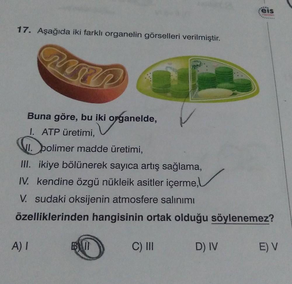 17. Aşağıda iki farklı organelin görselleri verilmiştir.
QUIN
A) I
Buna göre, bu iki organelde,
I. ATP üretimi,
I. polimer madde üretimi,
III. ikiye bölünerek sayıca artış sağlama,
IV. kendine özgü nükleik asitler içerme,
V. sudaki oksijenin atmosfere salı