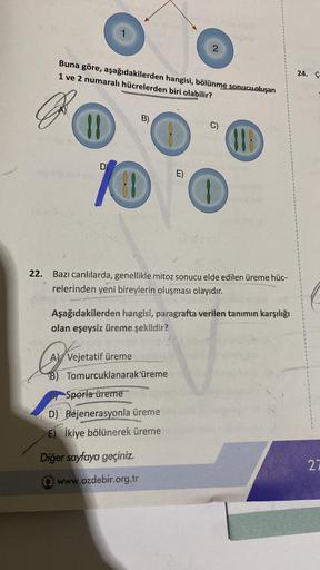 22.
Buna göre, aşağıdakilerden hangisi, bölünme sonucu oluşan
1 ve 2 numaralı hücrelerden biri olabilir?
11
B)
10
2
E)
A Vejetatif üreme
B) Tomurcuklanarak üreme
Sporla üreme
D) Rejenerasyonla üreme
E) İkiye bölünerek üreme
Diğer sayfaya geçiniz.
www.ozdeb