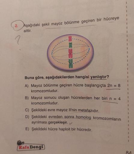 2. Aşağıdaki şekil mayoz bölünme geçiren bir hücreye
aittir.
Buna göre, aşağıdakilerden hangisi yanlıştır?
A) Mayoz bölünme geçiren hücre başlangıçta 2n = 8
kromozomludur.
B) Mayoz sonucu oluşan hücrelerden her biri n = 4
kromozomludur.
C) Şekildeki evre m