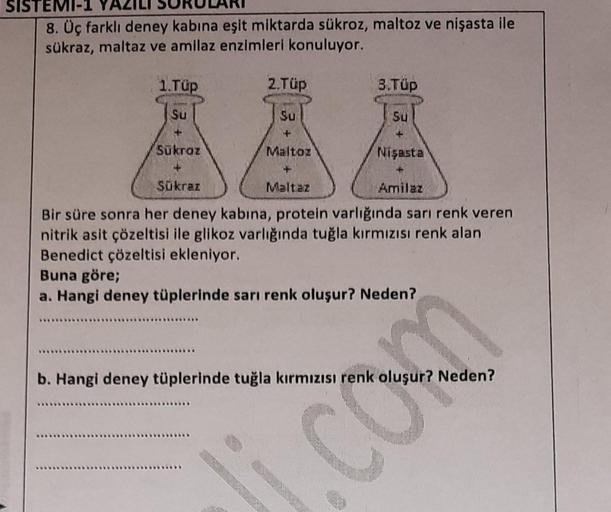 SISTEMI-1
8. Üç farklı deney kabına eşit miktarda sükroz, maltoz ve nişasta ile
sükraz, maltaz ve amilaz enzimleri konuluyor.
1.Tup
Su
+
Sükroz
2.Tüp
Su
+
Maltoz
+
Maltaz
3.Tüp
Su
Nişasta
Sokraz
Amilaz
Bir süre sonra her deney kabina, protein varlığında sa