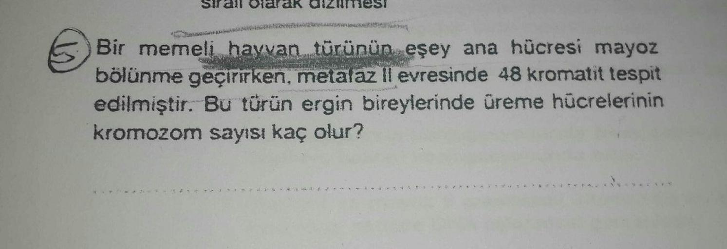 all Olarak dizumesi
Bir memeli hayvan türünün eşey ana hücresi mayoz
bölünme geçirirken, metafaz Il evresinde 48 kromatit tespit
edilmiştir. Bu türün ergin bireylerinde üreme hücrelerinin
kromozom sayısı kaç olur?