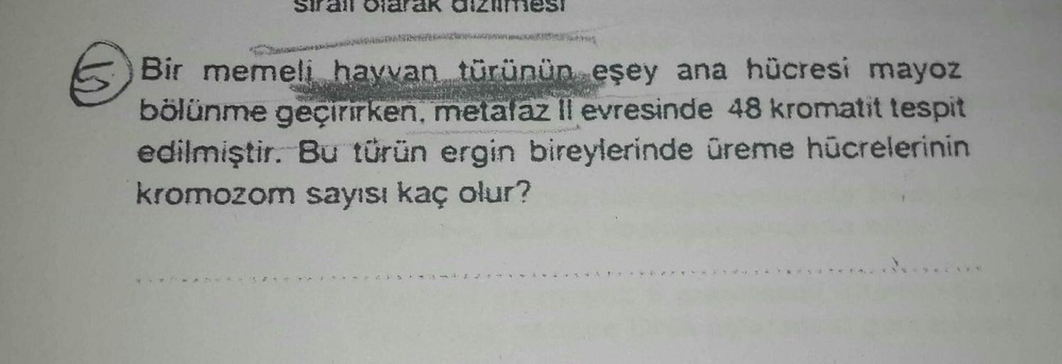 all Olarak dizumesi
Bir memeli hayvan türünün eşey ana hücresi mayoz
bölünme geçirirken, metafaz Il evresinde 48 kromatit tespit
edilmiştir. Bu türün ergin bireylerinde üreme hücrelerinin
kromozom sayısı kaç olur?