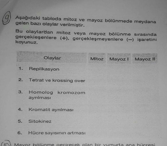 9
Aşağıdaki tabloda mitoz ve mayoz bölünmede meydana
gelen bazı olaylar verilmiştir.
Bu olaylardan mitoz veya mayoz bölünme sırasında
gerçekleşenlere (+), gerçekleşmeyenlere (-) işaretini
koyunuz.
2.
3.
4.
5.
Olaylar
Replikasyon
Tetrat ve krossing over
Hom