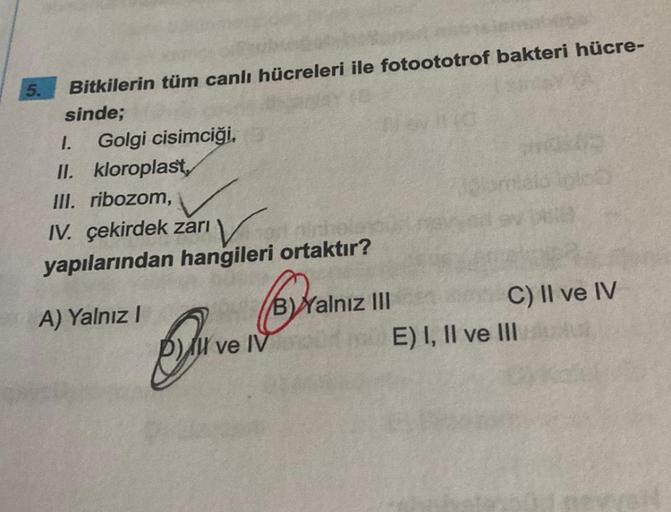 Bitkilerin tüm canlı hücreleri ile fotoototrof bakt… Biyoloji Bitkilerin tüm canlı hücreleri ile fotoototrof bakt… Biyoloji