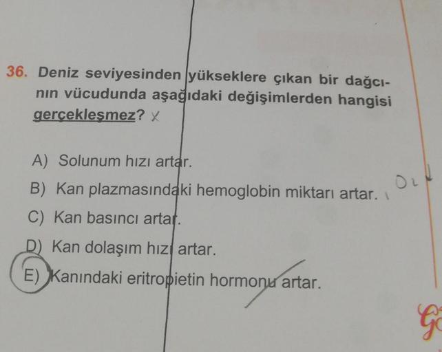 36. Deniz seviyesinden yükseklere çıkan bir dağcı-
nın vücudunda aşağıdaki değişimlerden hangisi
gerçekleşmez? X
A) Solunum hızı artar.
B) Kan plazmasındaki hemoglobin miktarı artar.
C) Kan basıncı artar.
D) Kan dolaşım hızı artar.
E) Kanındaki eritropieti