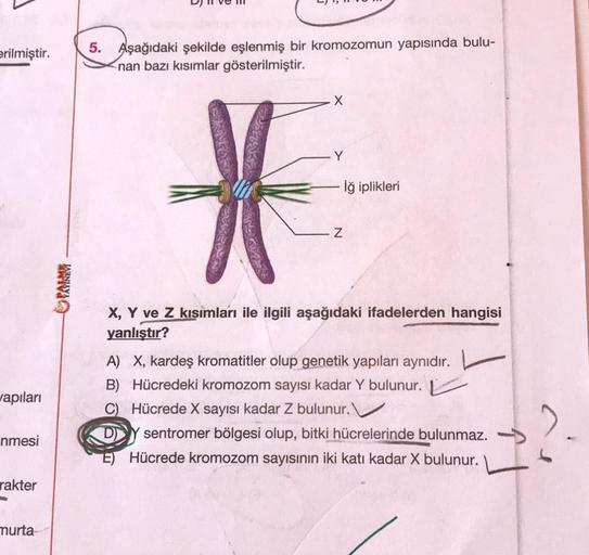 erilmiştir. 5. Aşağıdaki şekilde eşlenmiş bir kromozomun yapısında bulu-
nan bazı kısımlar gösterilmiştir.
wapıları
nmesi
rakter
murta
PALM
X
Y
Z
İğ iplikleri
X, Y ve Z kısımları ile ilgili aşağıdaki ifadelerden hangisi
yanlıştır?
A) X, kardeş kromatitler