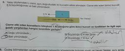 5. Yatay düzlemdeki L cismi, aynı doğrultudaki iki kuvvetin etkisi altındadır. Cisme etki eden birinci kuvvet
6 N büyüklüğünde ve batı yönündedir.
6 N
A) Doğu yönündedir.
Batı yönündedir.
L
Bati
Doğu
Cisme etki eden kuvvetlerin bileşkesi 1 N olduğuna göre ikinci kuvvet ve özellikleri ile ilgili aşa-
ğıdaki yargılardan hangisi kesinlikle yanlıştır?
Yer (Yatay)
B) Büyüklüğü 6 N'dan azdır. oldster
D) Büyüklüğü 7 N'dur.
oldalıllır
6. Özdeş bölmelerden olusan sekildeki labirentin köselerinde bulunan siyah ve beyaz fareler, aynı anda