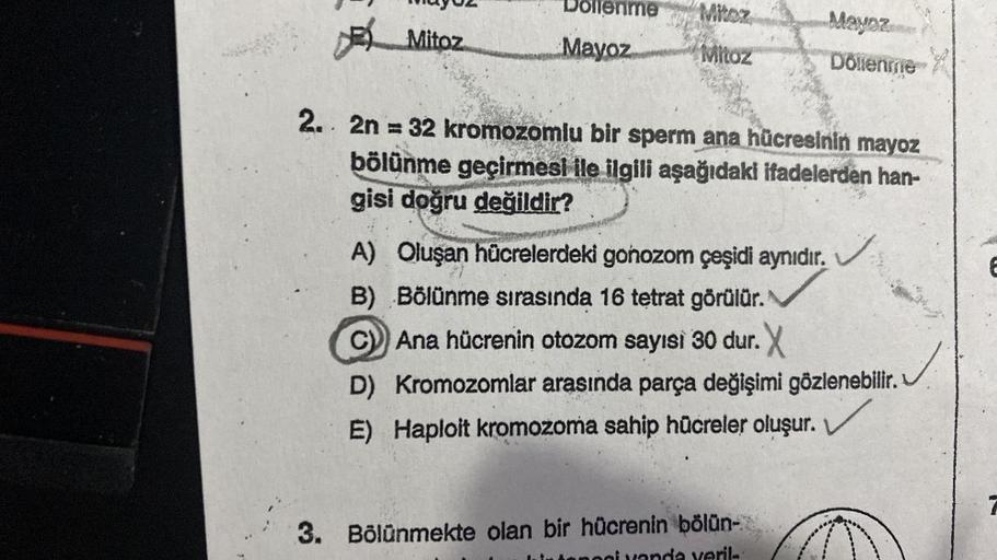 *
Mitoz
Dollenme
Mayoz
Mitoz
Mitoz
Mayoz
Döllenme
2. 2n = 32 kromozomlu bir sperm ana hücresinin mayoz
bölünme geçirmesi ile ilgili aşağıdaki ifadelerden han-
gisi doğru değildir?
A) Oluşan hücrelerdeki gonozom çeşidi aynıdır.
B) Bölünme sırasında 16 tetra