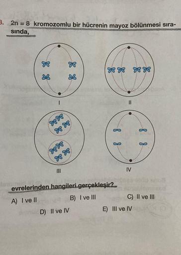 3. 2n = 8 kromozomlu bir hücrenin mayoz bölünmesi sıra-
sında,
8 8
1
D
8888
8888
8888
|||
& &.
❀❀❀❀
D) II ve IV
3
8 8
8 8.
evrelerinden hangileri gerçekleşir?
A) I ve II
B) I ve III
IV
C) II ve III
E) III ve IV