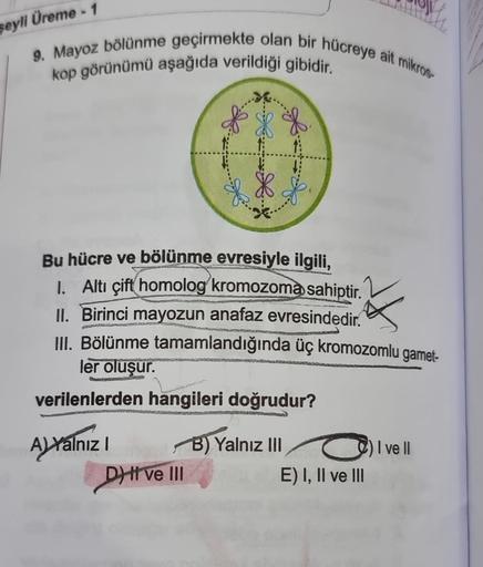 9. Mayoz bölünme geçirmekte olan bir hücreye ait mikros-
kop görünümü aşağıda verildiği gibidir.
şeyli Üreme - 1
X
Bu hücre ve bölünme evresiyle ilgili,
I. Altı çift homolog kromozoma sahiptir.
A Yalnız I
AR
II. Birinci mayozun anafaz evresindedir.
III. Bö