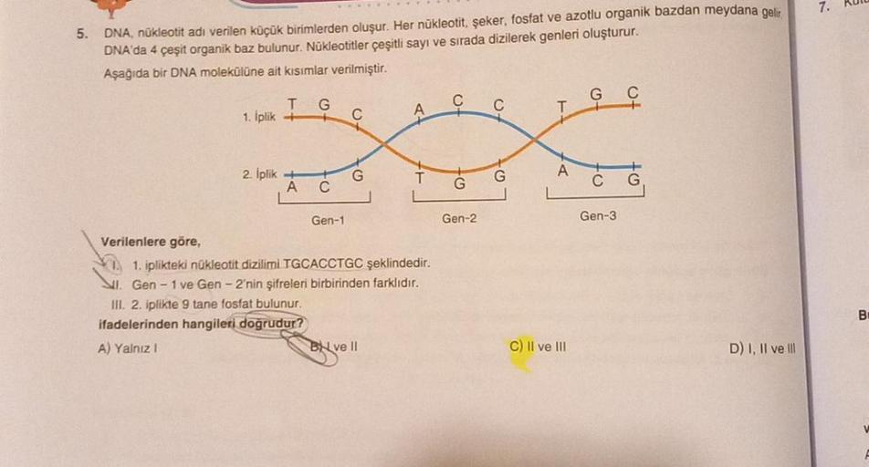 5.
DNA, nükleotit adı verilen küçük birimlerden oluşur. Her nükleotit, şeker, fosfat ve azotlu organik bazdan meydana gelir.
DNA'da 4 çeşit organik baz bulunur. Nükleotitler çeşitli sayı ve sırada dizilerek genleri oluşturur.
Aşağıda bir DNA molekülüne ait
