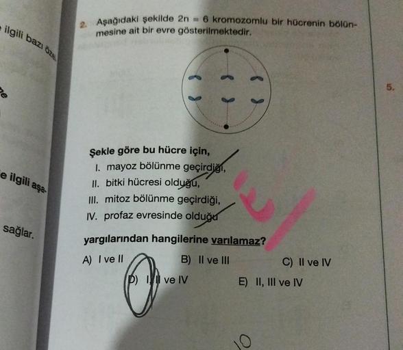 ilgili bazı öze
8
e ilgili aşa-
sağlar.
2. Aşağıdaki şekilde 2n = 6 kromozomlu bir hücrenin bölün-
mesine ait bir evre gösterilmektedir.
Şekle göre bu hücre için,
1. mayoz bölünme geçirdiği,
II. bitki hücresi olduğu,
III. mitoz bölünme geçirdiği,
IV. profa