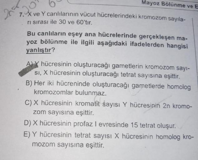 20
7. X ve Y canlılarının vücut hücrelerindeki kromozom sayıla-
ri sırası ile 30 ve 60'tır.
Mayoz Bölünme ve E
2056
Bu canlıların eşey ana hücrelerinde gerçekleşen ma-
yoz bölünme ile ilgili aşağıdaki ifadelerden hangisi
yanlıştır?
AY hücresinin oluşturaca