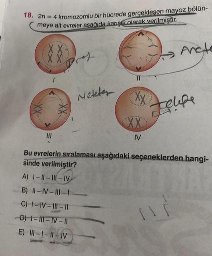 18. 2n = 4 kromozomlu bir hücrede gerçekleşen mayoz bölün-
meye ait evreler aşağıda karışık olarak verilmiştir.
XX
X X
XX
s
A) I-II-III-IV
B) II-IV-III-I
C) I-IV-III-II
-D) -1-111-TV-11
E) III-1-II-IV
Neteter
Xx
XX
IV
Anche
Jelipe
Bu evrelerin sıralaması a