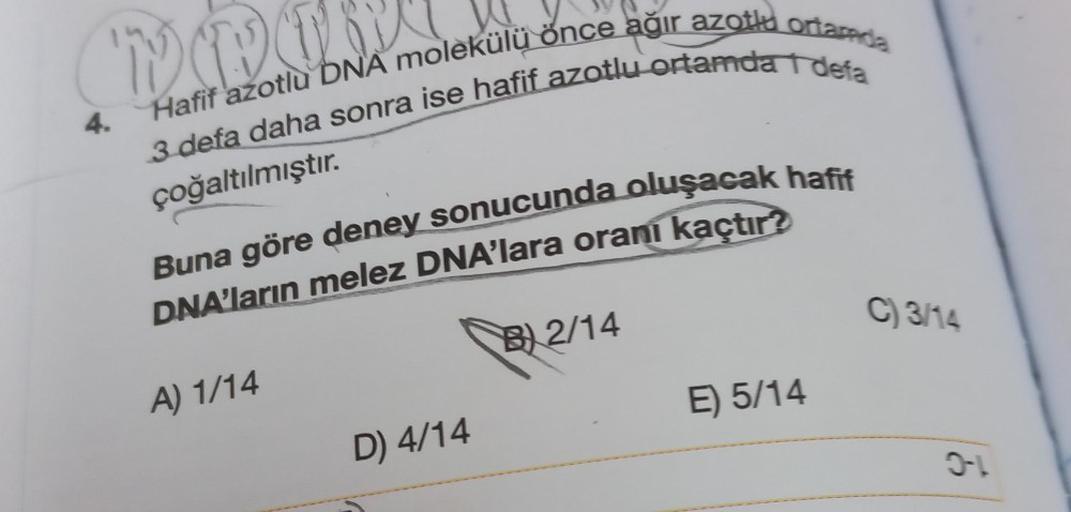 4.
VIDO
Hafif azotlu DNA molekülü önce ağır azotlu ortamda
3 defa daha sonra ise hafif azotlu ortamda 1 defa
çoğaltılmıştır.
Buna göre deney sonucunda oluşacak hafif
DNA'ların melez DNA'lara oranı kaçtır?
A) 1/14
D) 4/14
B2/14
E) 5/14
C) 3/14
6