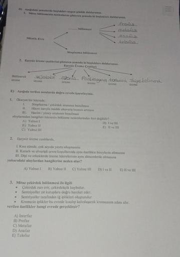 Bölünerek
üreme
2.
D) Aşağıdaki şemalarda boşlukları uygun şekilde doldurunuz.
1. Mitoz bölünmenin aşamalarını gösteren şemada ki başlukları doldurunuz.
•
Mitotik Evre
.
E) Aşağıda verilen sorularda doğru cevabı işaretleyiniz.
1. Ökaryot bir hücrede;
L
11.