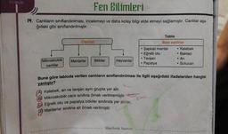 Fen Bilimleri
14. Canlıların sınıflandırılması, incelemeyi ve daha kolay bilgi elde etmeyi sağlamıştır. Canlılar aşa-
ğıdaki gibi sınıflandırılmıştır.
Canlilar
Mikroskobik Mantarlar Bitkiler
canlılar
Hayvanlar
A Kelebek, arı ve tavşan aynı grupta yer alır.
B) Mikroskobik canlı sınıfına örnek verilmemiştir.
Eğrelti otu ve papatya bitkiler sınıfında yer alırlar.
Mantarlar sınıfına ait örnek verilmiştir.
Tablo
Bazı canlılar
SüperSonik Yayınları
• Şapkalı mantar
• Eğrelti otu
• Tavşan
• Papatya
Buna göre tabloda verilen canlıların sınıflandırılması ile ilgili aşağıdaki ifadelerden hangisi
yanlıştır?
• Kelebek
. Bakteri
• Ari
• Solucan