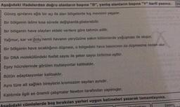 Aşağıdaki ifadelerden doğru olanların başına "D", yanlış olanların başına "Y" harfi yazınız. 20
Güneş ışınlarını eğik bir açı ile alan bölgelerde kış mevsimi yaşanır.
Bir bölgenin iklimi kısa sürede değişkenlik gösterebilir.
Bir bölgenin hava olaylan eldeki verilere göre tahmin edilir.
Yağmur, kar ve dolu nemli havanın yeryüzüne yakın bölümlerde yoğuşması ile oluşur.
Bir bölgenin hava sıcaklığının düşmesi, o bölgedeki hava basıncının da düşmesine neden olur.
Bir DNA molekülündeki fosfat sayısı ile şeker sayısı birbirine eşittir.
Eşey hücrelerinde görülen mutasyonlar kalıtsaldır.
Bütün adaptasyonlar kalıtsaldır.
Aynı türe ait sağlıklı bireylerin kromozom sayıları aynıdır.
Kalıtımla ilgili en önemli çalışmalar Newton tarafından yapılmıştır.
şağıdaki cümlelerde boş bırakılan yerleri uygun kelimeleri yazarak tamamlayınız.
basing
