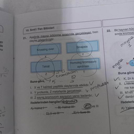 2
an
de
ru
10. Sınıf Fen Bilimleri
21. Aşağıda mayoz bölünme sırasında gerçekleşen bazı
olaylar gösterilmiştir.
Krossing over
Tetrat
Z
2
tromo20
Sinapsis
Y
Homolog kromozom
ayrılması
T
D) II ve H
Buna göre,
5
I. X ve T kalıtsal çeşitlilik olaylarında etkil