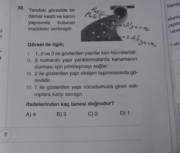ci
CI
7
30. Yandaki görselde bir
damar kesiti ve kanın
yapısında bulunan
maddeler verilmiştir.
Kol
Pale
Alyavar
2 Abyavan
Görsel ile ilgili;
I. 1, 2 ve 3 ile gösterilen yapılar kan hücreleridir.
II. 3 numaralı yapı yaralanmalarda kanamanın
durması için pıh