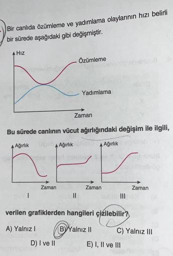Bir canlıda özümleme ve yadımlama olaylarının hızı belirli
bir sürede aşağıdaki gibi değişmiştir.
Hız
malvey shirts
Zaman
Özümleme
D) I ve II
Yadımlama
Zaman
nelvan
Bu sürede canlının vücut ağırlığındaki değişim ile ilgili,
Ağırlık pob Ağırlık
Zaman
Ağırlı