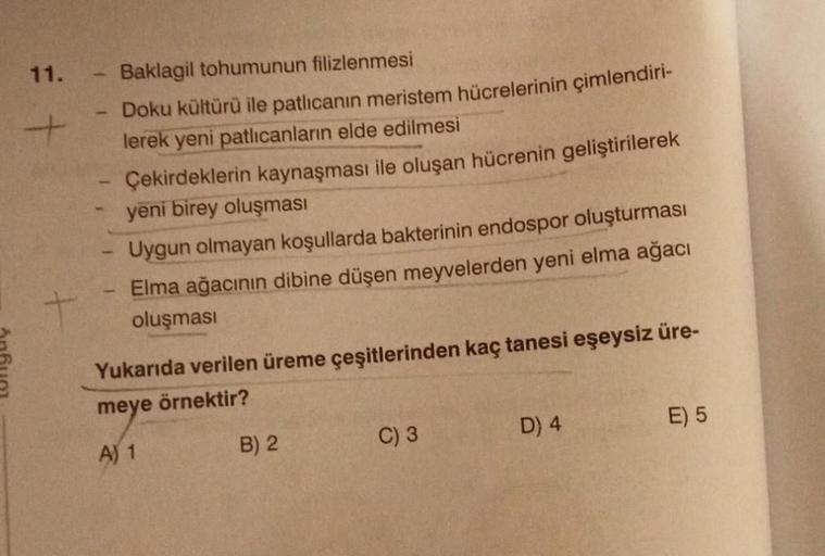 11.
+
Baklagil tohumunun filizlenmesi
Doku kültürü ile patlıcanın meristem hücrelerinin çimlendiri-
lerek yeni patlıcanların elde edilmesi
Çekirdeklerin kaynaşması ile oluşan hücrenin geliştirilerek
yeni birey oluşması
Uygun olmayan koşullarda bakterinin e