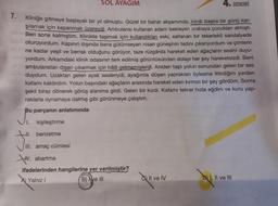 SOL AYAĞIM
7. Kliniğe gitmeye başlayalı bir yıl olmuştu. Güzel bir bahar akşamında, klinik başka bir günü kar-
şılamak için kapanmak üzereydi. Ambulansı kullanan adam bekleyen arabaya çocukları almıştı.
Tid Ben sona kalmıştım. Klinikte taşımak için kullandıkları eski, sallanan bir tekerlekli sandalyede
po oturuyordum. Kapının dışında bana gülümseyen nisan güneşinin tadını çıkarıyordum ve çimlerin
elid ne kadar yeşil ve berrak olduğunu görüyor, taze rüzgârda hareket eden ağaçların sesini duyu-
miyordum. Arkamdaki klinik odasının terk edilmiş görüntüsünden dolayı her şey hareketsizdi. Beni
ambulanstan dışarı çıkarmak için hâlâ gelmemişlerdi. Aniden taşlı yolun sonundan gelen bir ses
duydum. Uzaktan gelen ayak sesleriydi, ayağımla düşen yaprakları öylesine ittirdiğim yerden
kafamı kaldırdım. Yolun başındaki ağaçların arasında hareket eden kırmızı bir şey gördüm. Sonra
şekil biraz dönerek görüş alanıma girdi. Gelen bir kızdı. Kafamı tekrar hızla eğdim ve kuru yap-
raklarla oynamaya dalmış gibi görünmeye çalıştım.
Bu parçanın anlatımında
I. kişileştirme
benzetme
J
III. amaç cümlesi
V. abartma
ifadelerinden hangilerine yer verilmiştir?
A) Yalnız I
B) ve III
Il ve IV
I, II ve III
DENEME