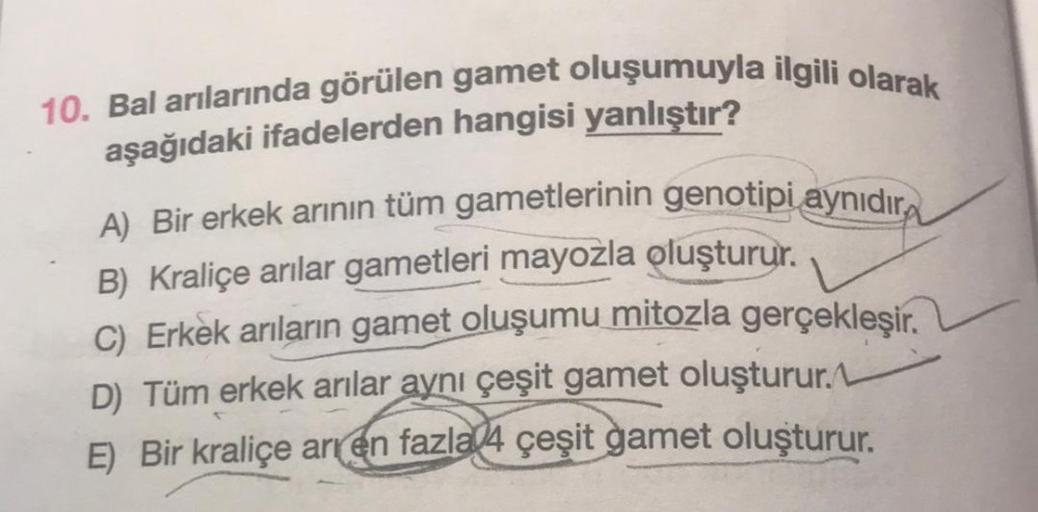 10. Bal arılarında görülen gamet oluşumuyla ilgili olarak
aşağıdaki ifadelerden hangisi yanlıştır?
A) Bir erkek arının tüm gametlerinin genotipi aynıdır
B) Kraliçe arılar gametleri mayozla oluşturur.
C) Erkek arıların gamet oluşumu mitozla gerçekleşir.
D)