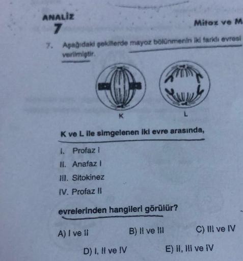 ANALIZ
7
Mitoz ve M
7. Aşağıdaki şekillerde mayoz bölünmenin iki farklı evresi
verilmiştir.
K
K ve L ile simgelenen iki evre arasında,
1. Profaz!
II. Anafaz I
III. Sitokinez
IV. Profaz II
evrelerinden hangileri görülür?
B) II ve III
A) I ve li
D) I, II ve