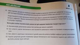 FEN BİLİMLERİ
B
Kitapçık Türü
17. Bilim insanları genetik bir müdahale ile küçük ve şeffaf bir denizanası türünün avını yakalamak ve beslenmek
gibi karmaşık hareketleri gerçekleştirmek amacıyla sinir hücrelerinin birlikte nasıl çalıştığının sırrını çözdü.
Araştırmacılar bu basit denizanası türüne bir gen aktarımı yaparak sinir hücrelerinin harekete geçtiği zaman par-
lamasını sağladılar. Böylece denizanasının karmaşık hareketlerinde sinir hücrelerinin hangi sırayla ve yoğunluk-
ta çalıştığını keşfettiler.
Buna göre verilen biyoteknolojik çalışma ile ilgili aşağıdaki ifadelerden hangisi doğrudur?
A) Biyoteknolojik çalışmalarda sadece ilkel canlılara gen aktarımı yapılabilir.
B) Gen aktarımı yapılan denizanasının sinir hücrelerinin parlamasının nedeni bu hücrelerin mutasyona uğrama-
sıdır.
C) Gen aktarımı yapılmayan denizanasının genetik yapısında parlama özelliğini sağlayan genler bulunmaktadır.
D) Yapılan çalışmada genetik müdahaleye uğrayan denizanasının sinir hücrelerinin hepsinin aynı sıklık ve yo-
ğunlukta çalıştığı tespit edilmiştir.