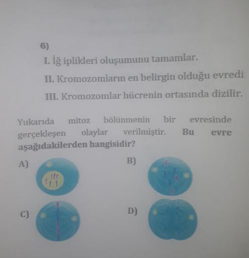 Yukarıda mitoz bölünmenin bir evresinde
gerçekleşen olaylar verilmiştir. Bu evre
aşağıdakilerden hangisidir?
A)
6)
I. İğ iplikleri oluşumunu tamamlar.
II. Kromozomların en belirgin olduğu evredi
III. Kromozomlar hücrenin ortasında dizilir.
C)
B)
D)