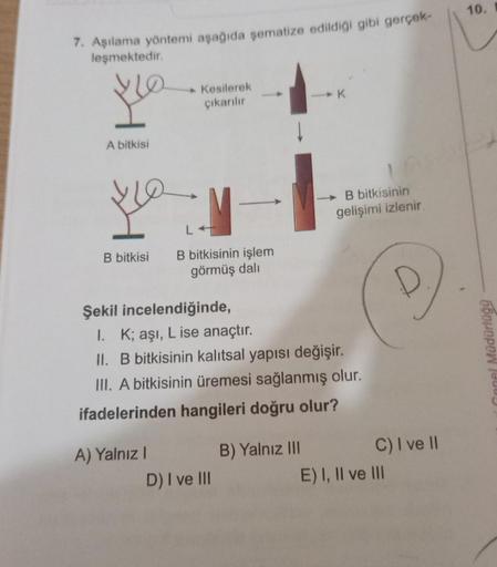 7. Aşılama yöntemi aşağıda şematize edildiği gibi gerçek-
leşmektedir.
ko
A bitkisi
fla
B bitkisi
Kesilerek
çıkarılır
A) Yalnız I
L
B bitkisinin işlem
görmüş dalı
Şekil incelendiğinde,
I. K; aşı, Lise anaçtır.
II. B bitkisinin kalıtsal yapısı değişir.
III.