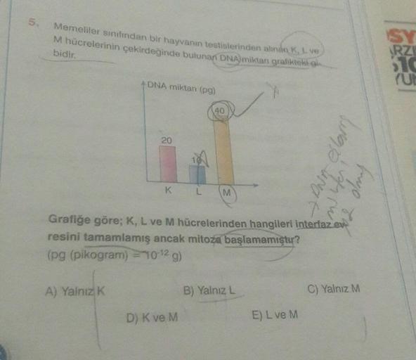 5.
Memeliler sınıfından bir hayvanın testislerinden alınan K, L. ve
M hücrelerinin çekirdeğinde bulunan DNA miktan grafikteki gi
bidir.
DNA miktan (pg)
A) Yalnız K
20
K
L
D) K ve M
40
M
Grafiğe göre; K, L ve M hücrelerinden hangileri interfaz ev
resini tam